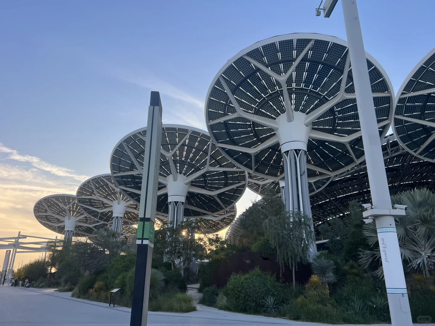 迪拜世博的“冬日城”