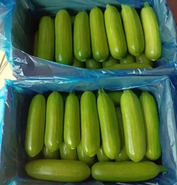 辍学种地后年入1000万