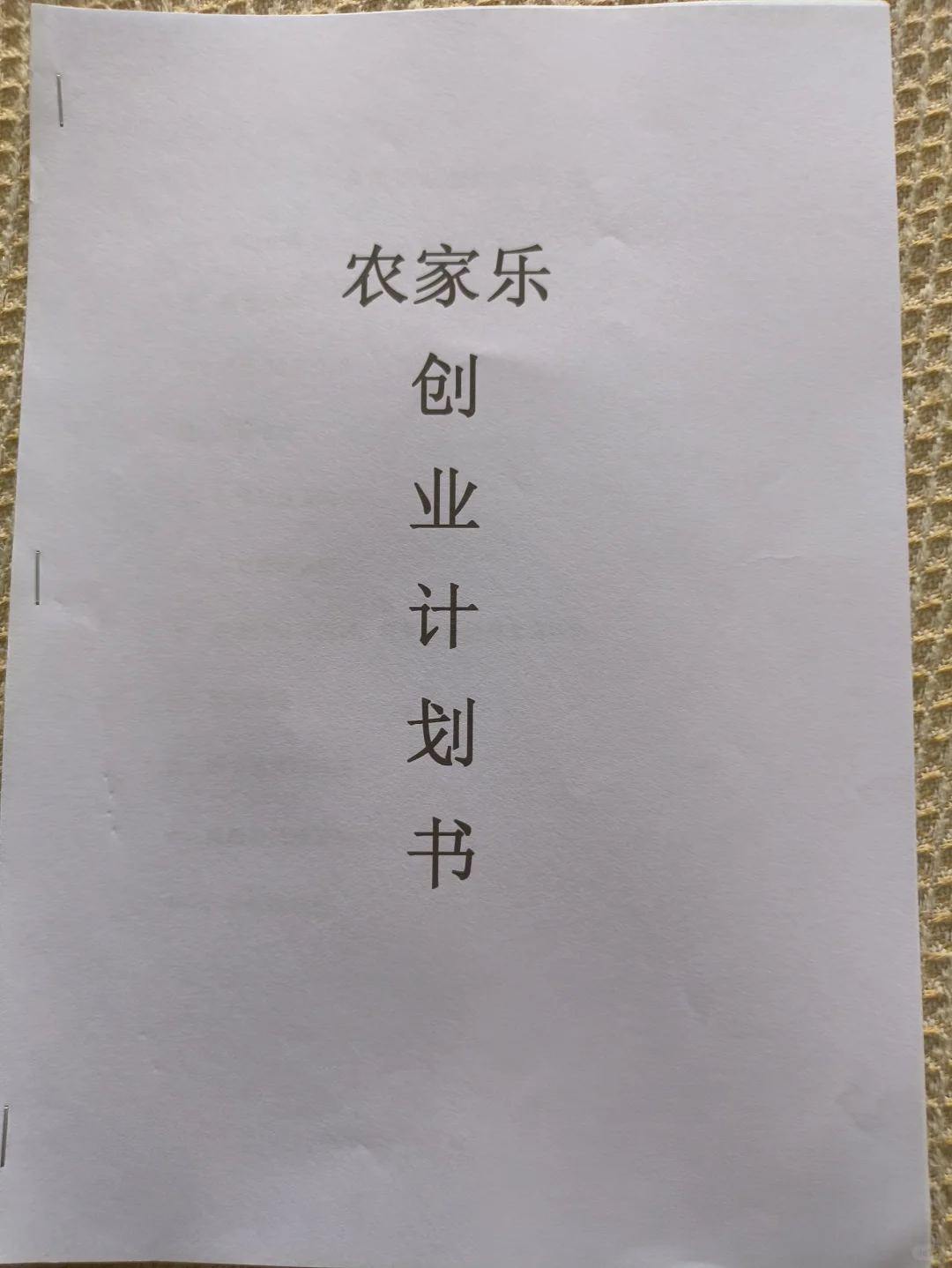 农家乐创业计划书