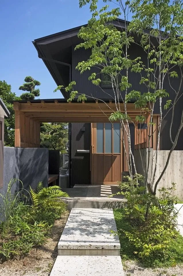 杂木庭院苗木选型纪要 | 柔美 飘逸 清雅