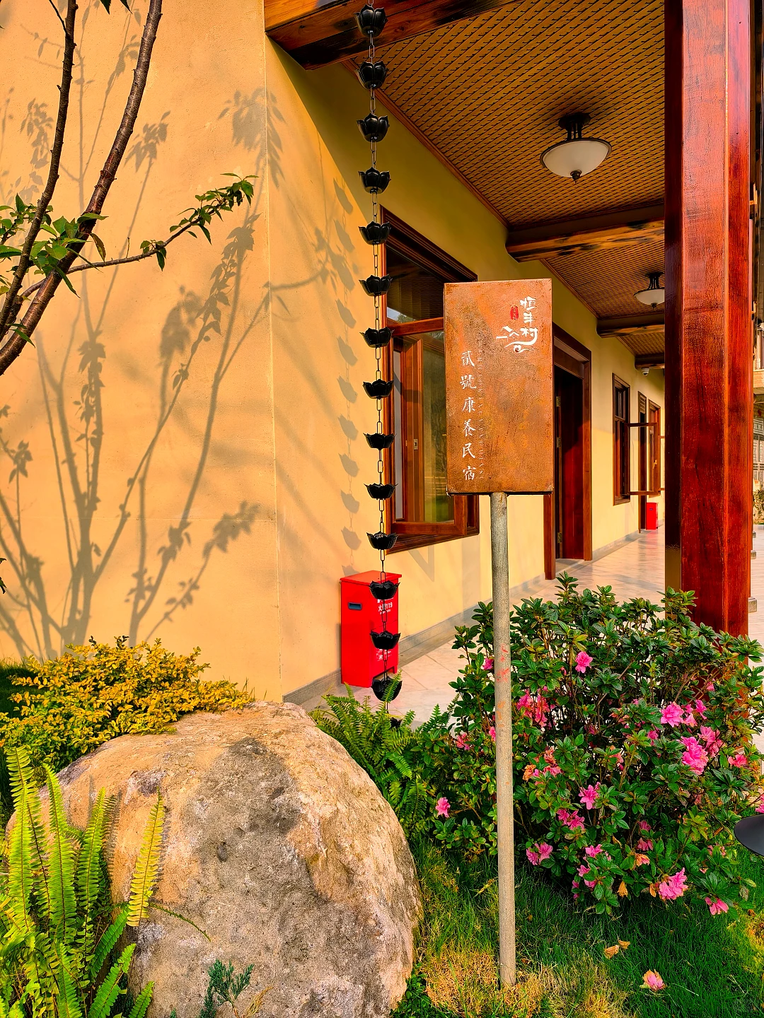 花掉够我躺平的钱在农村建民宿