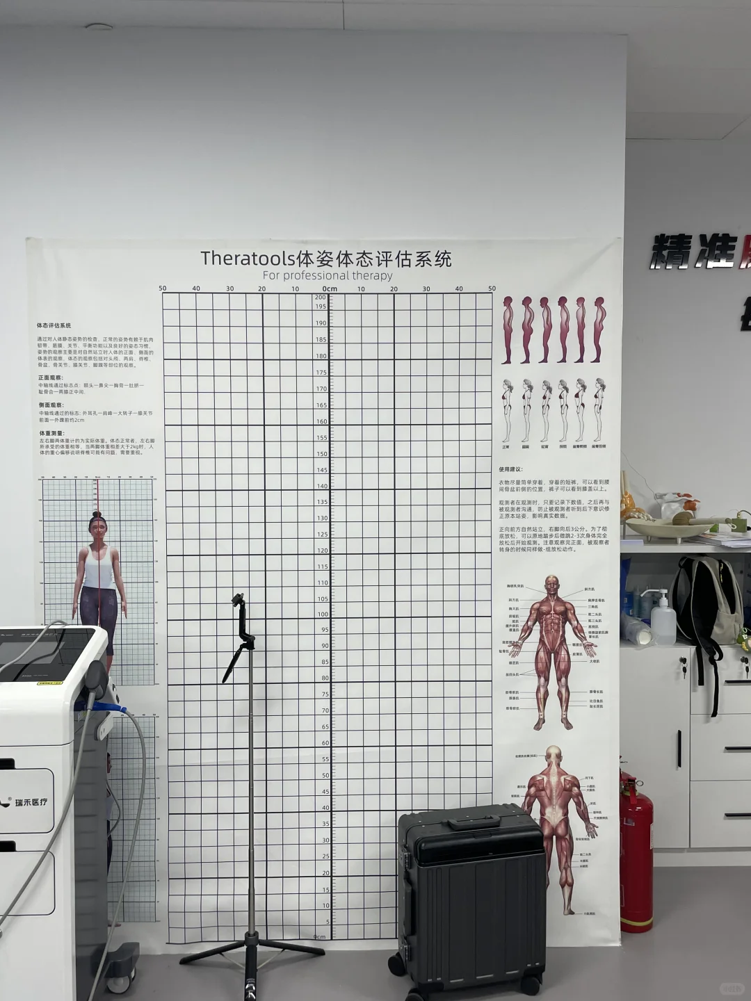 小树运动康复(郑州)