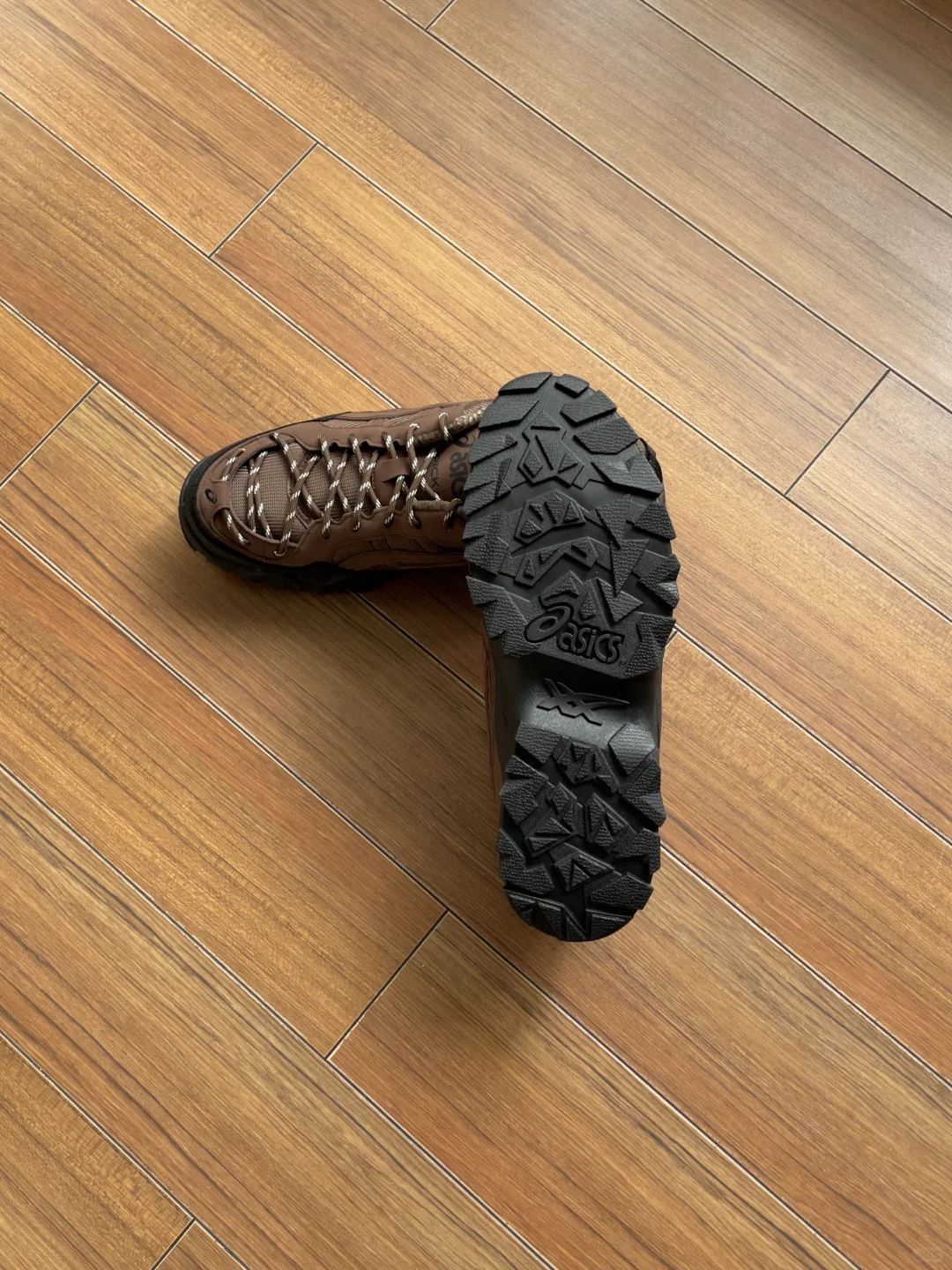 攒钱买鞋｜2025年第204/n双