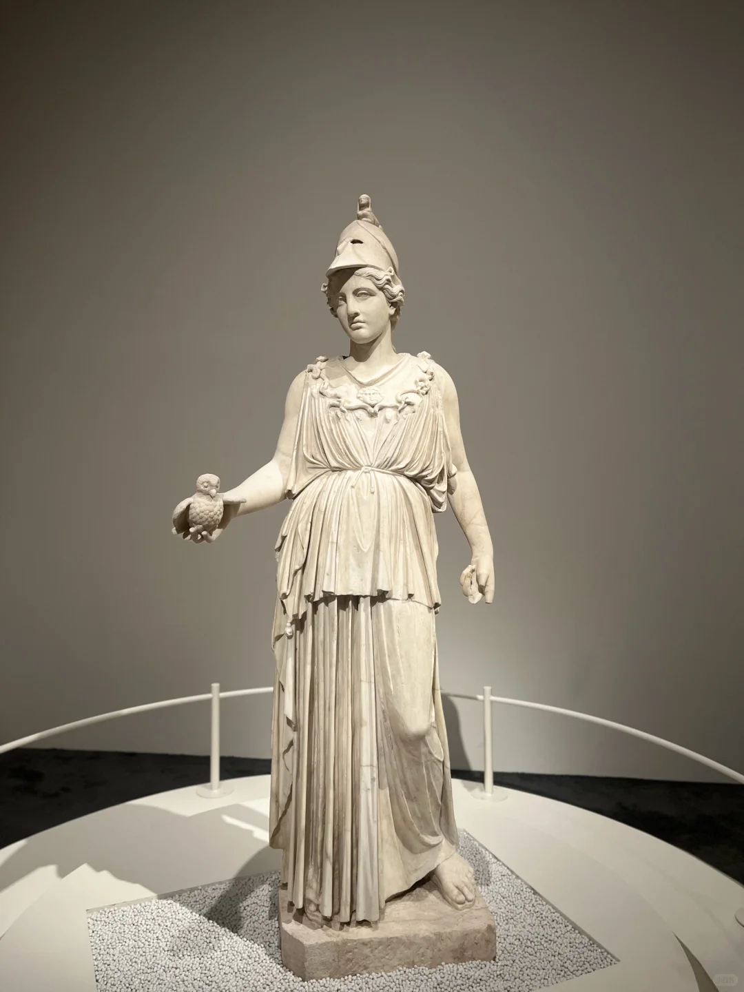 一场寻美的生日