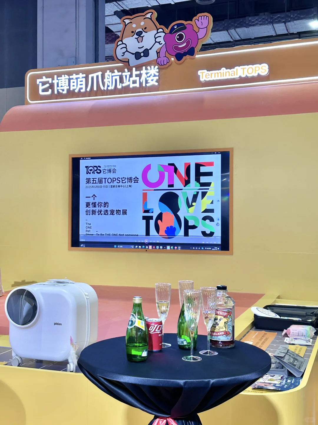 进博会惊现萌爪航站楼！速冲！