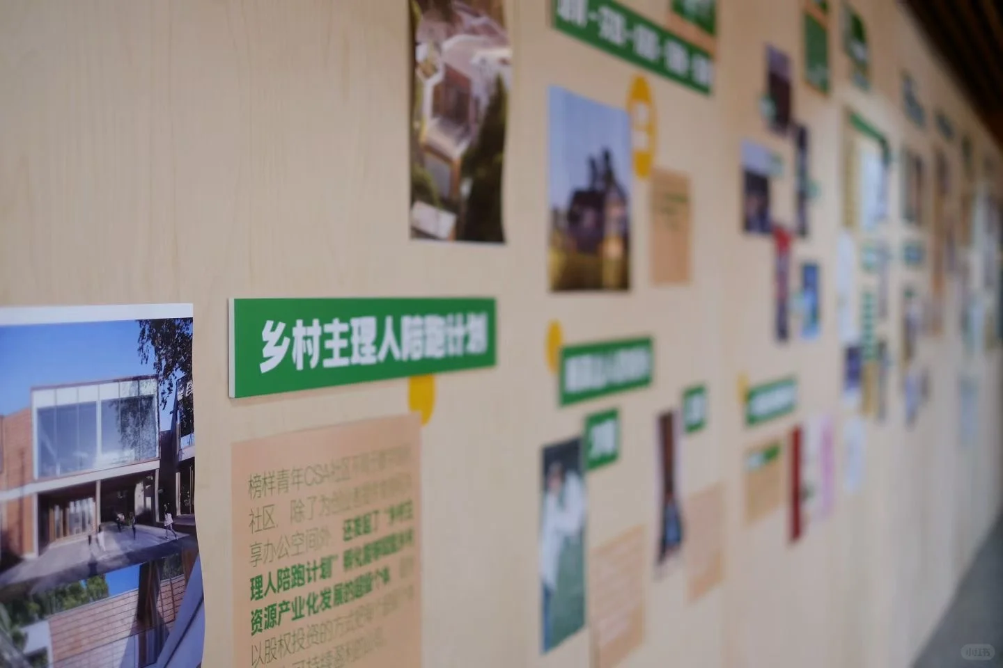 ❗️不要咬文嚼字嘛！乡村文旅社造是啥？