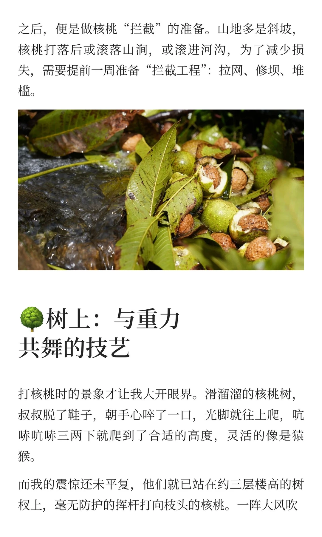 15天，打碎我对田园生活的所有幻想