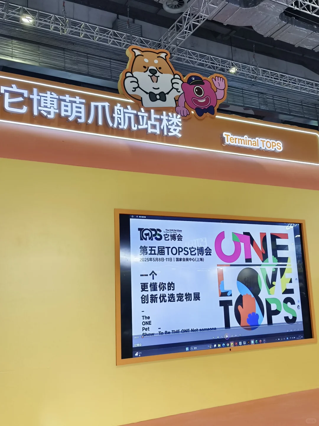 进博会挖宝?⬛萌爪航站楼萌到我走不动道