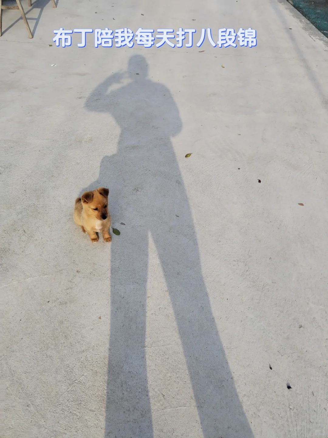 中年少女跨行农业种植基地工作第二十天