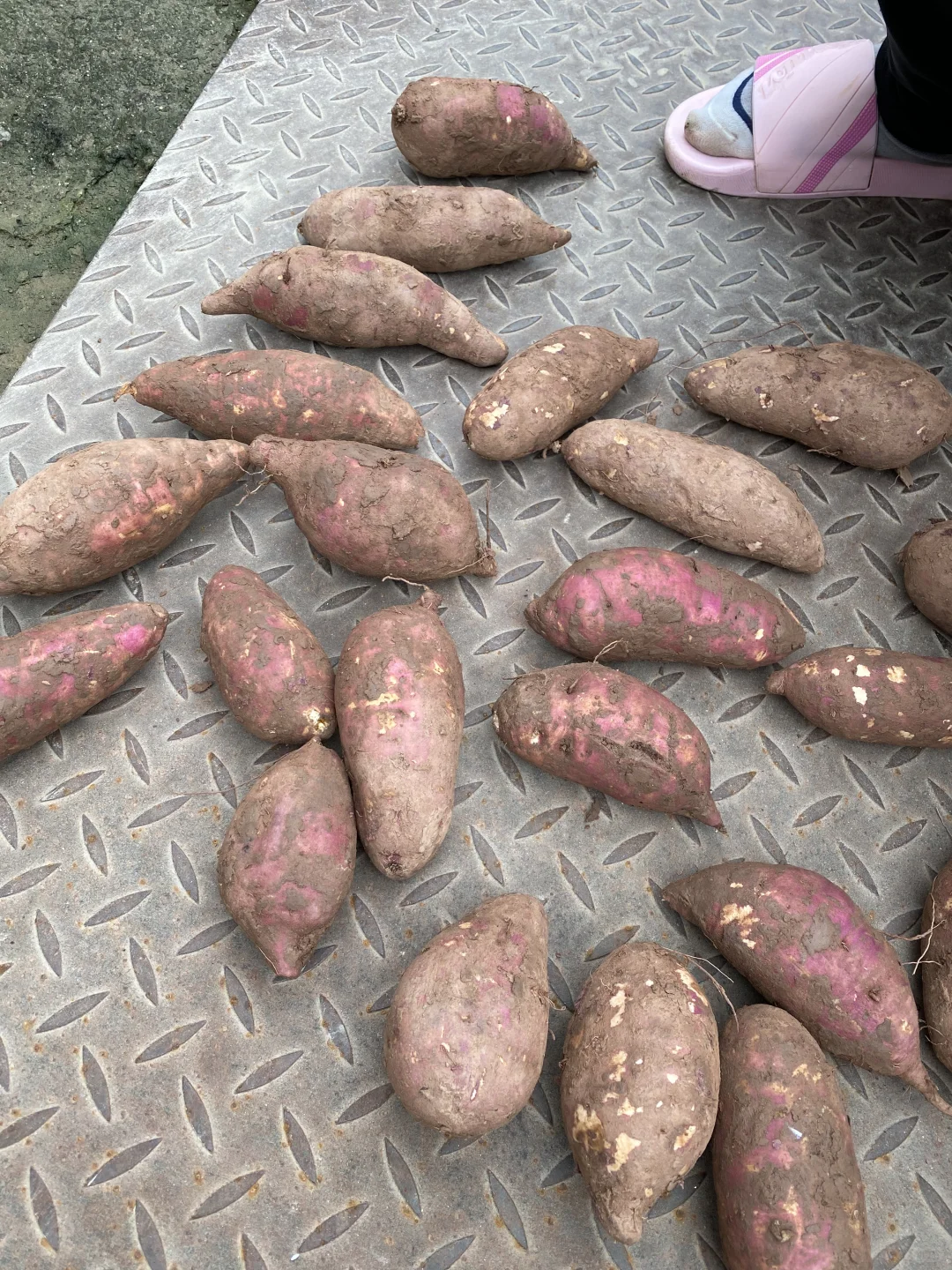 回村躺平 | 这个月只花260,照样吃香喝辣