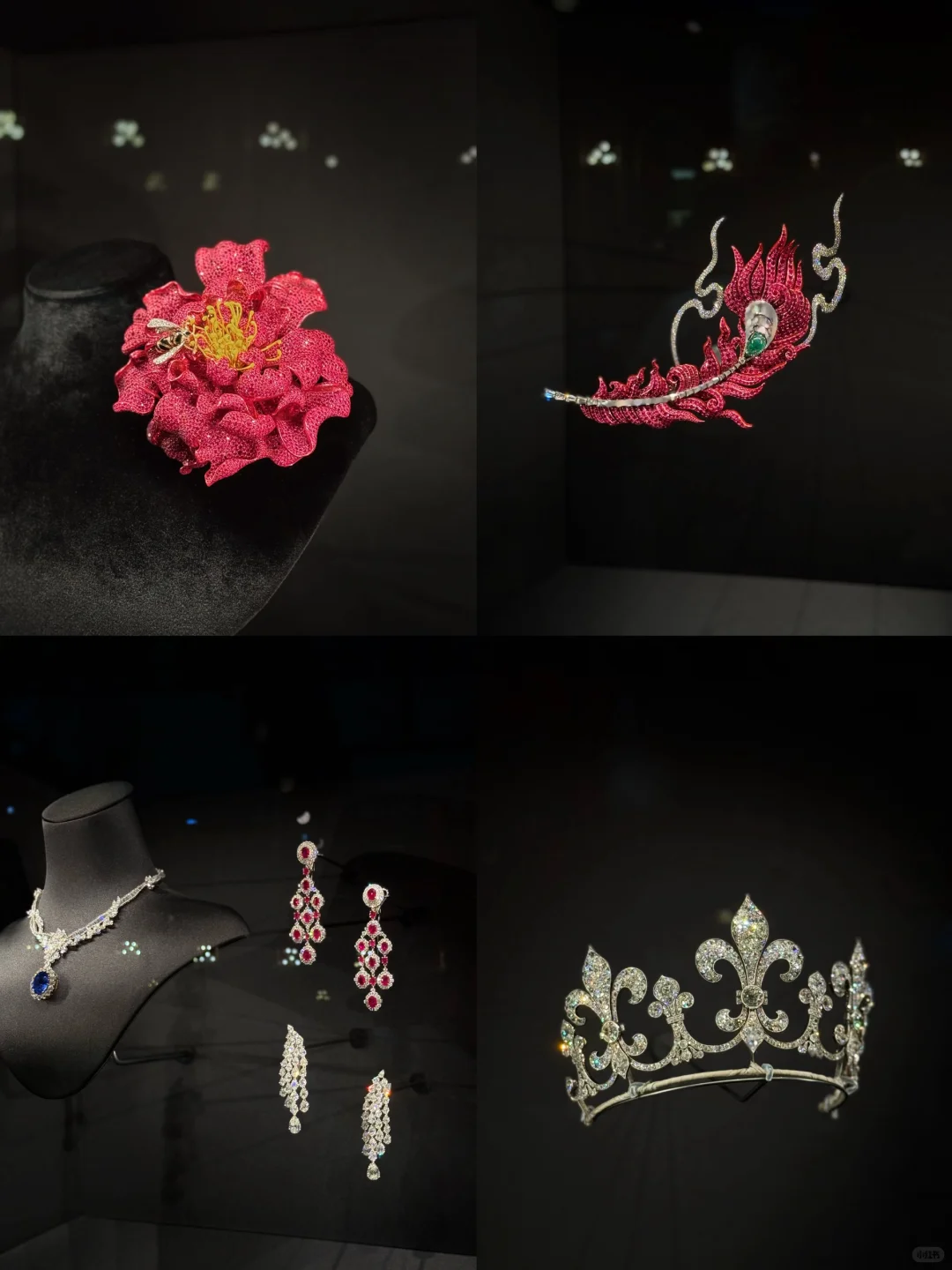 上海进博会半天4️⃣小时收获,不完全打卡