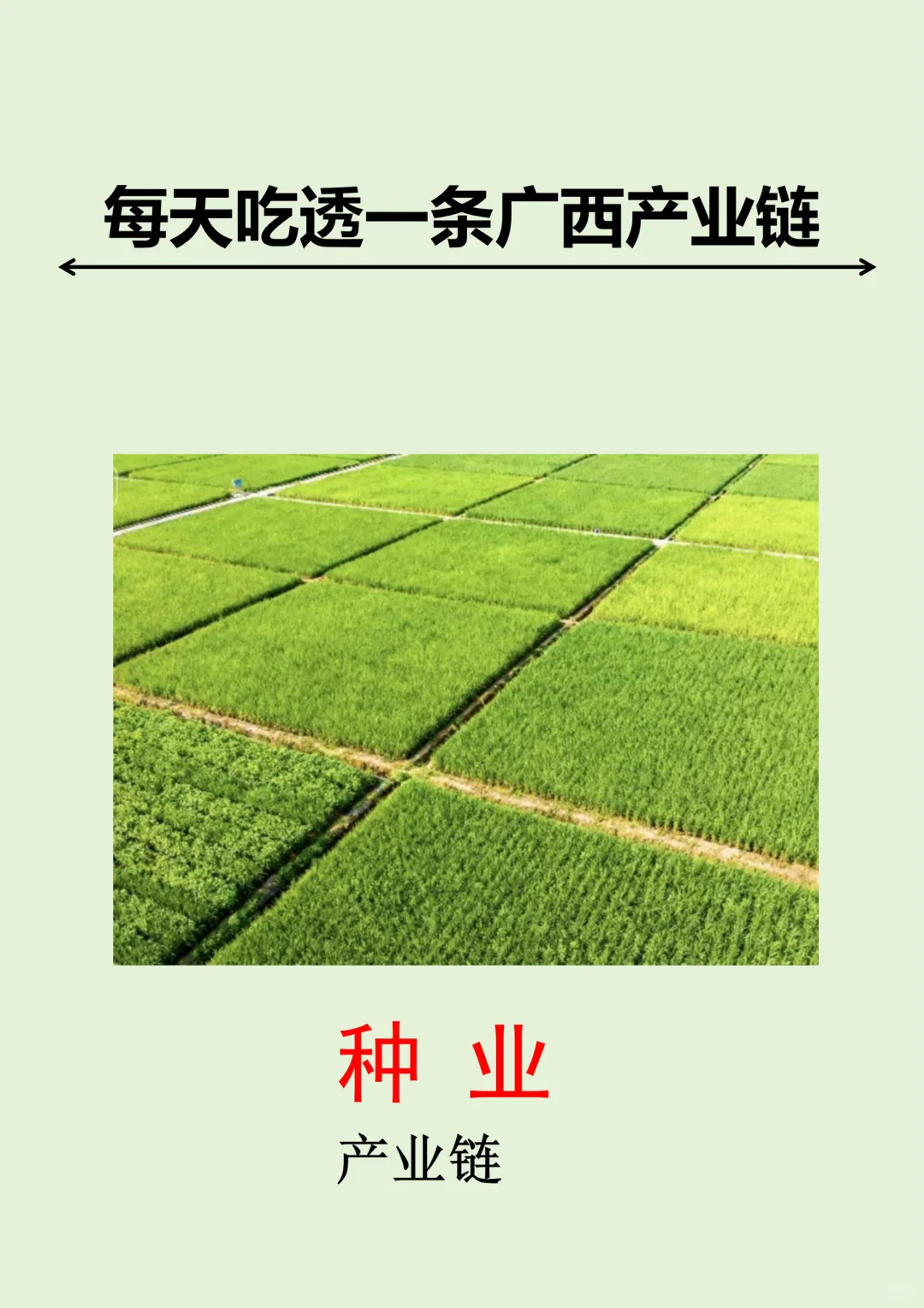 每天吃透一条广西产业链丨种业?