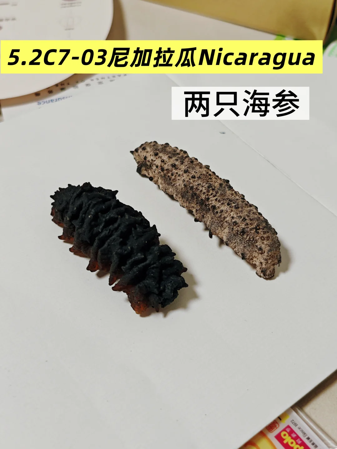 进博会第一天的战利品? 互抄作业