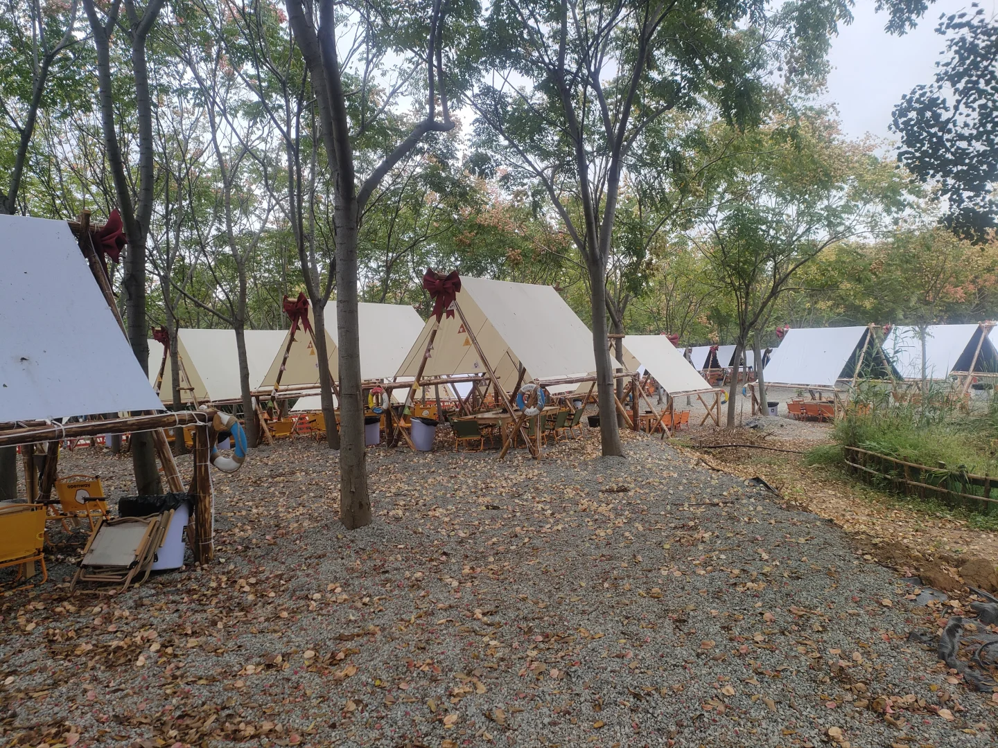 一起搞钱+免费住宿!婚礼及宠物主理人招募