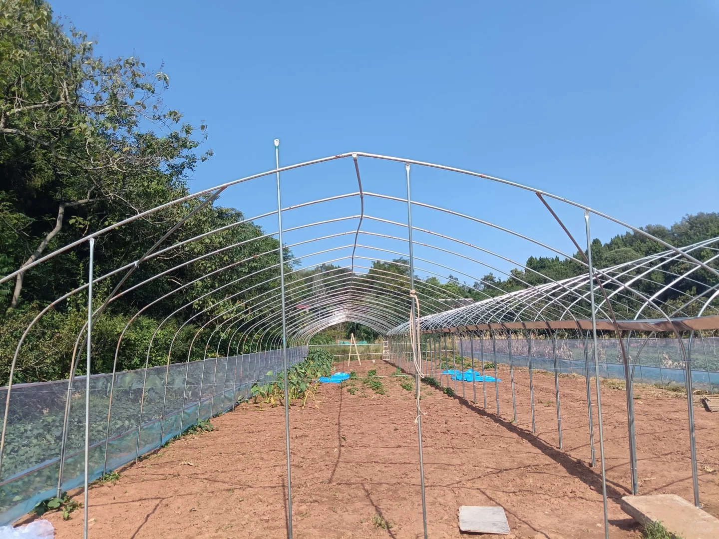 辞职回村创业建大棚，终于要搭建完成啦