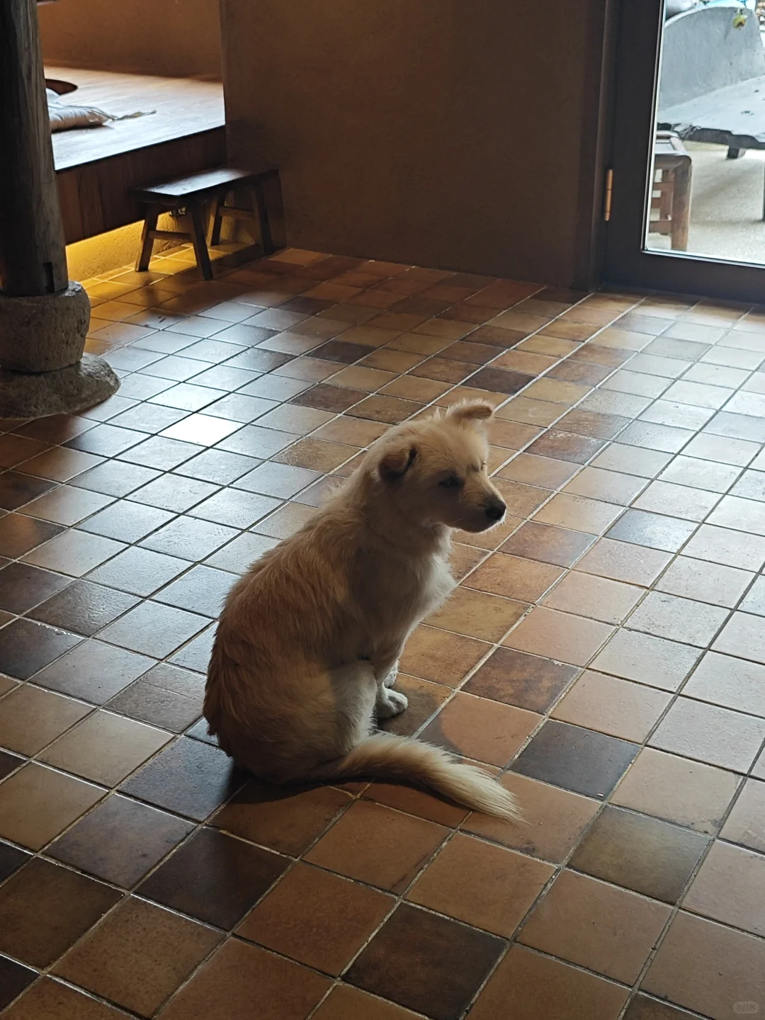 从民宿看见一座城的野心 #民宿洞察