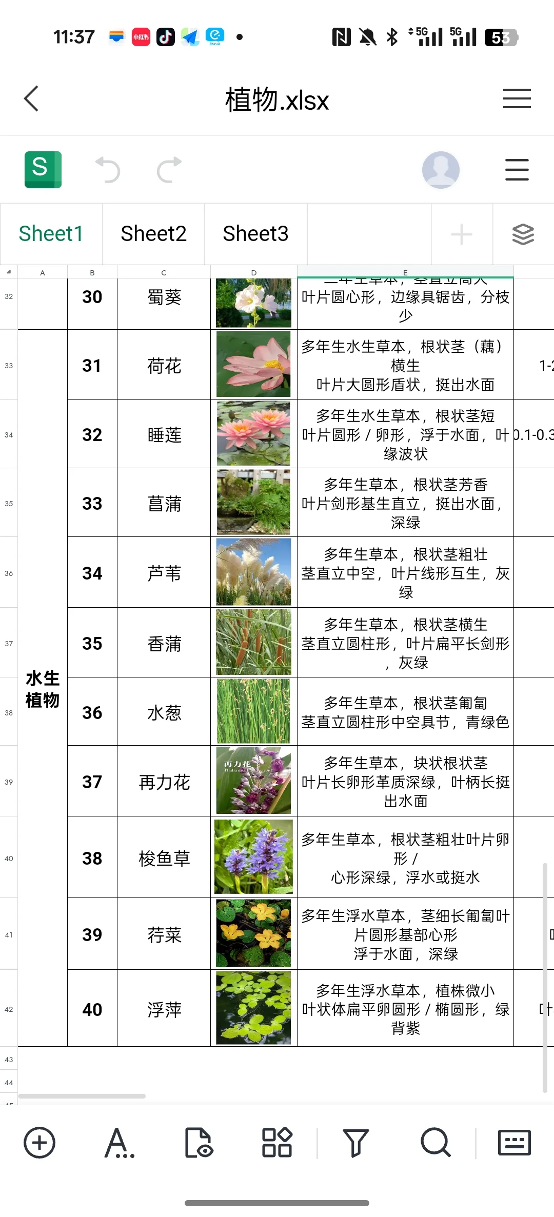 景观植物图鉴|乔木/灌木/水生/花卉分类表