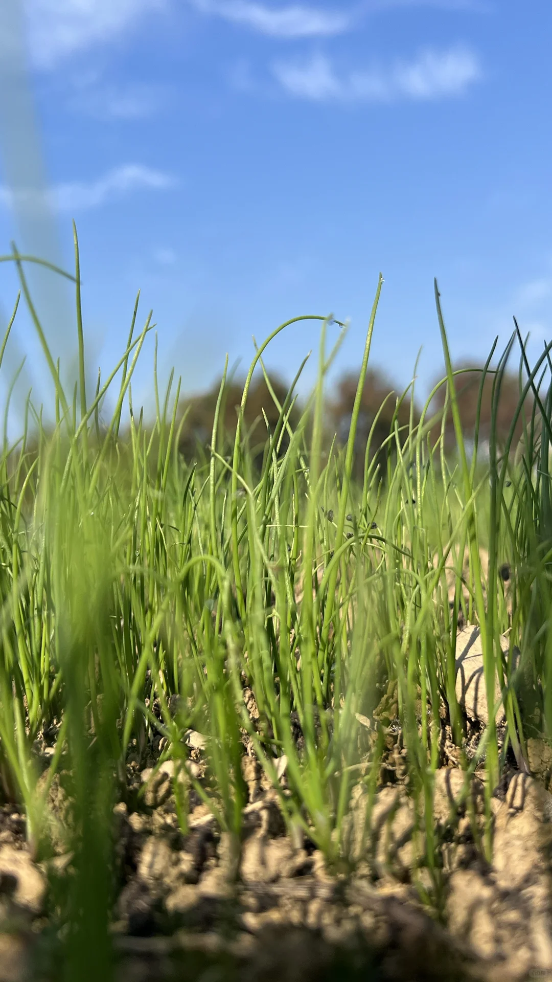 四季常春的四季农场｜冬日实况