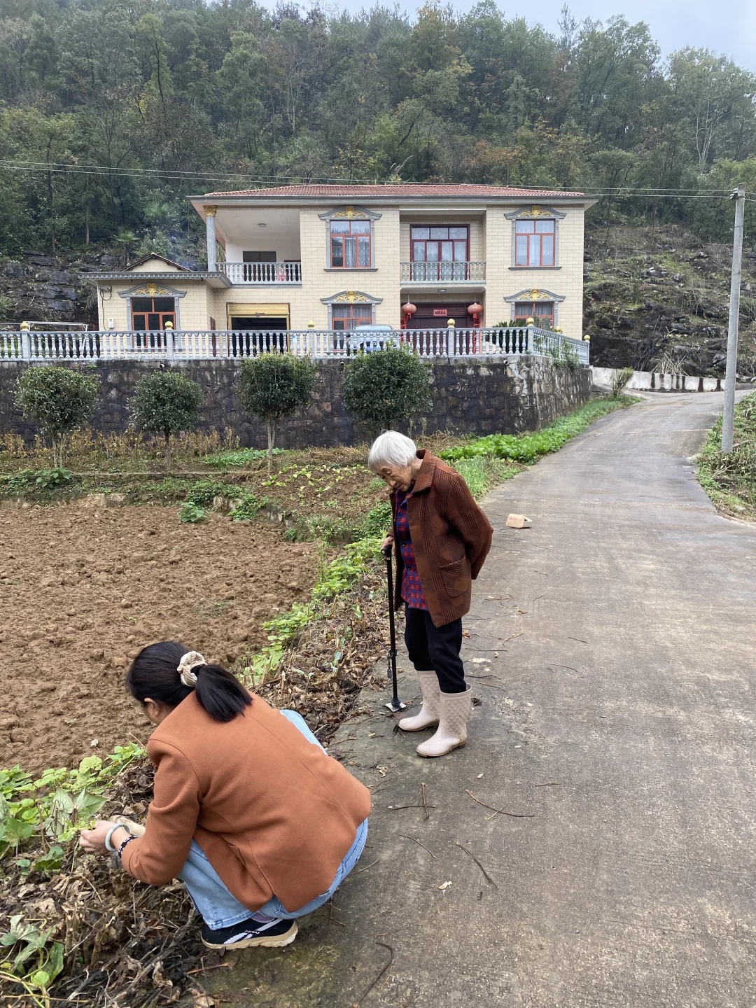 60多万的农村自建房,能自己种菜就值30万