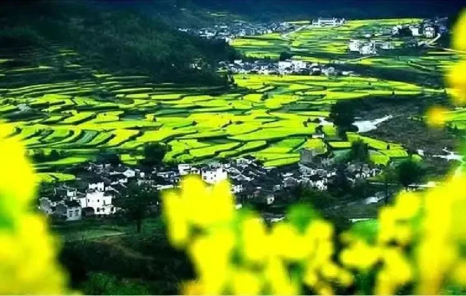 乡村旅游,如何破局“出圈”?