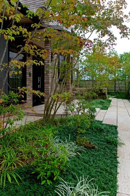 杂木庭院苗木选型纪要 | 柔美 飘逸 清雅