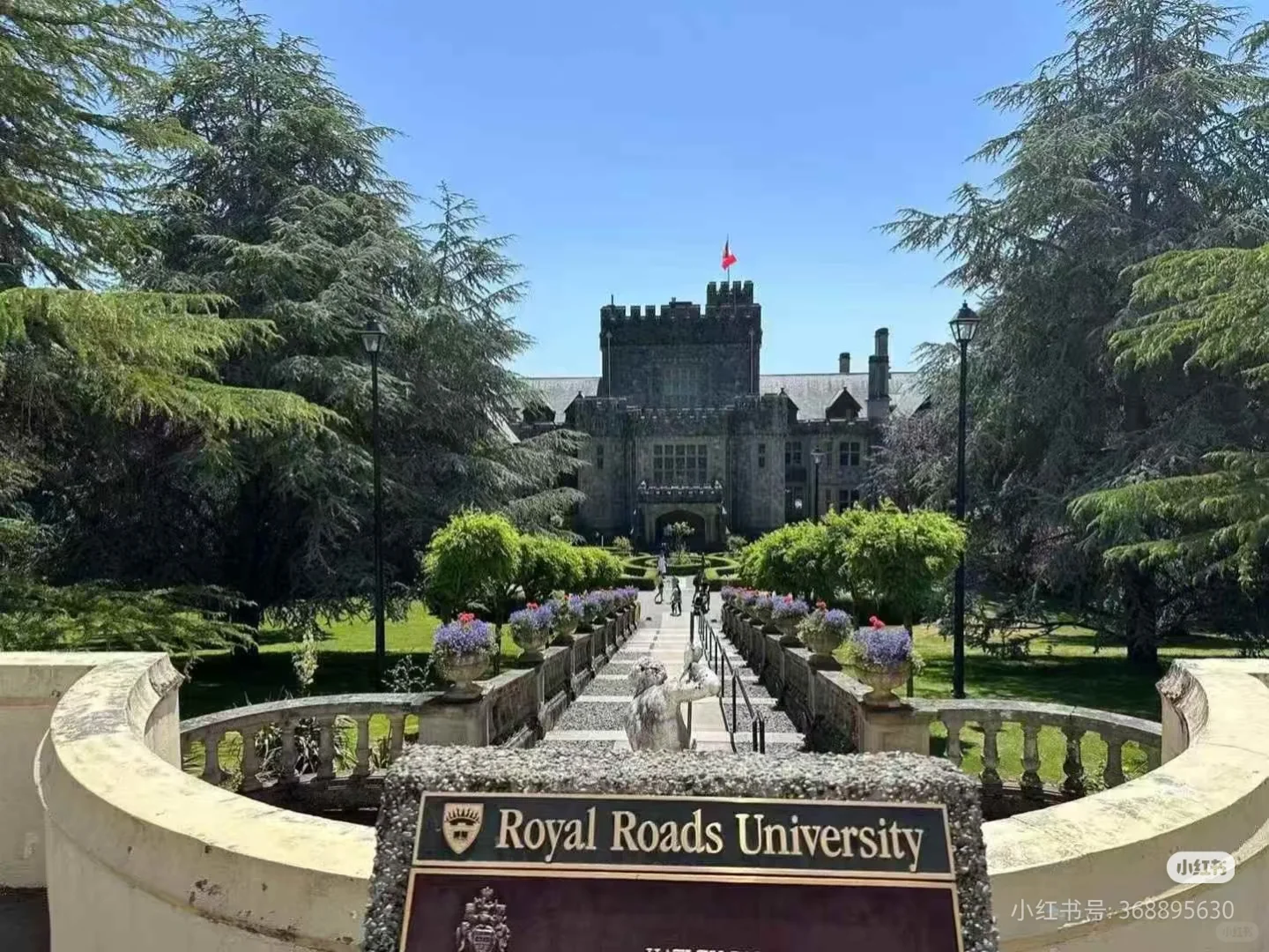 皇家路大学双语跨文化国际传播硕士课程调整