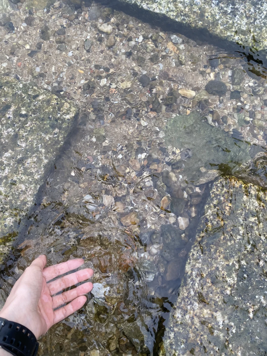 回村躺平 | 这个月只花260,照样吃香喝辣