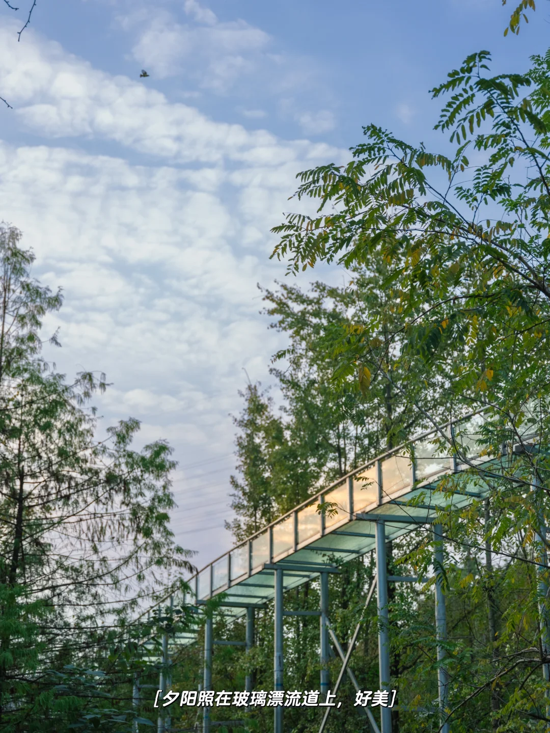 重庆遛娃|梦想照进现实,拿着探测器寻宝