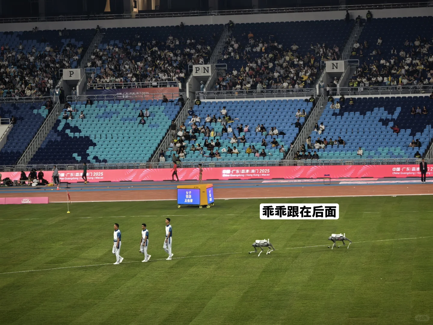 科技感！机器狗助力全运会！