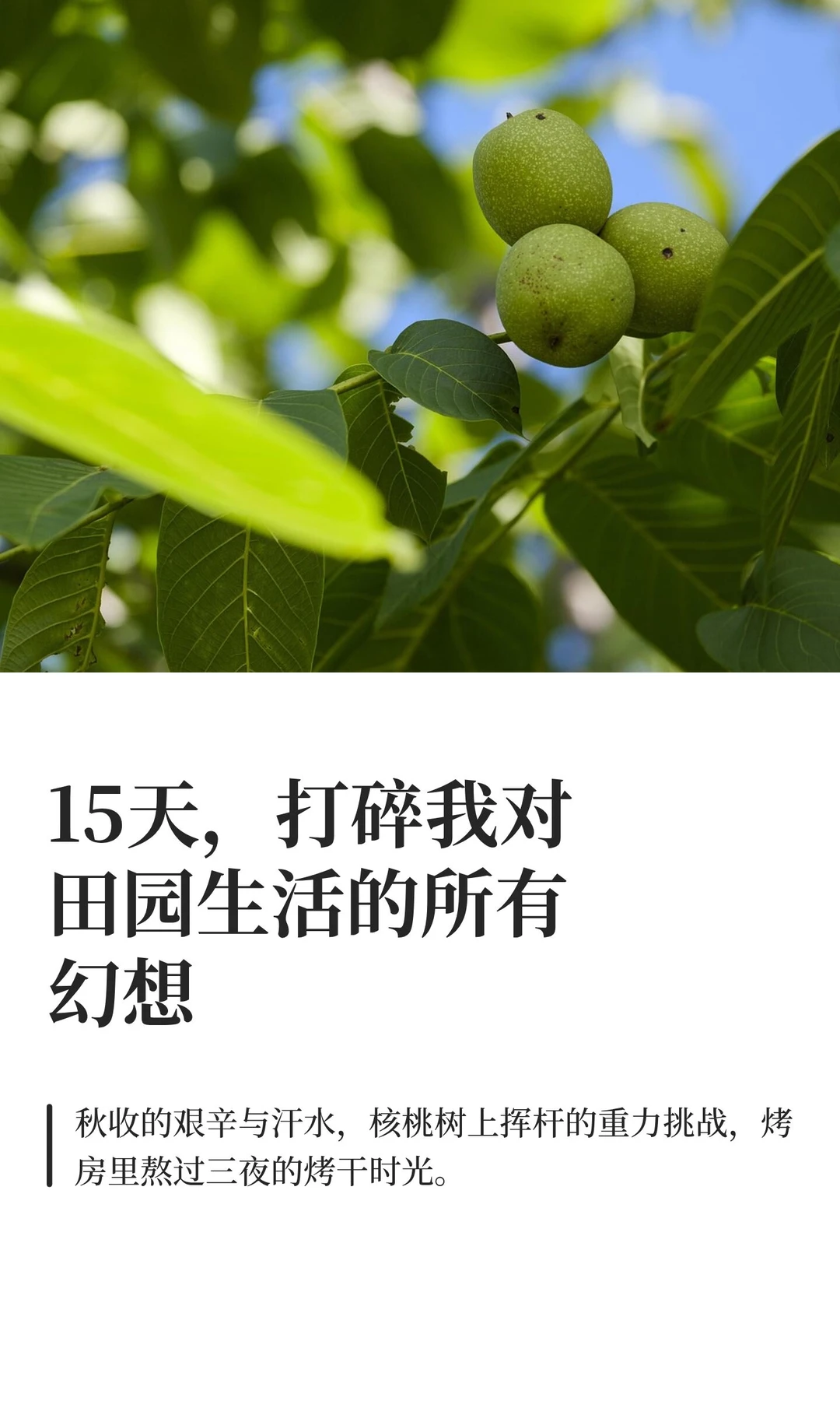 15天，打碎我对田园生活的所有幻想