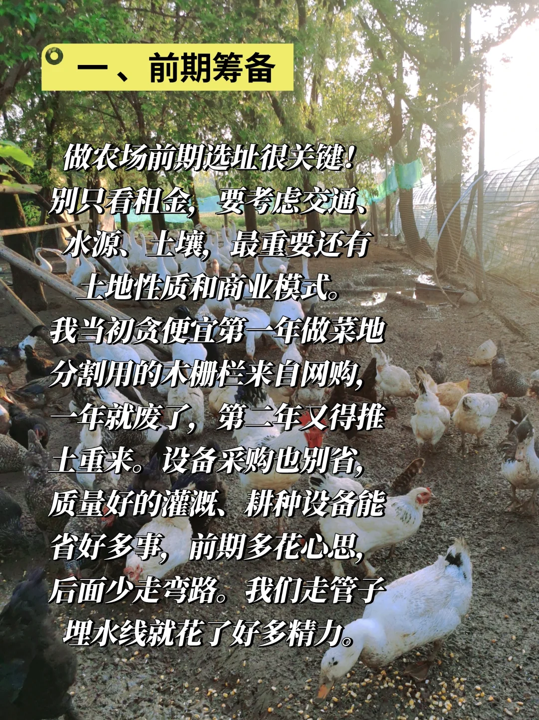 搞农场两年，这些经验你一定要知道