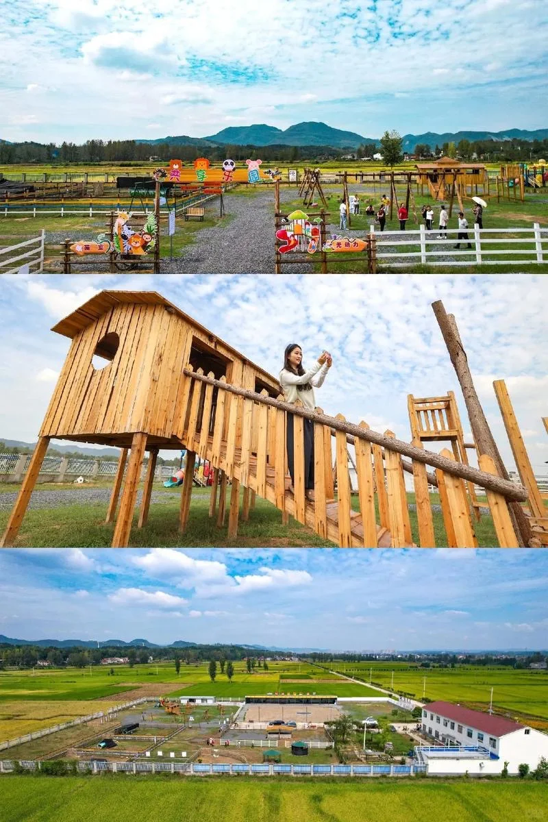  文旅策划，为乡村旅游“造血”