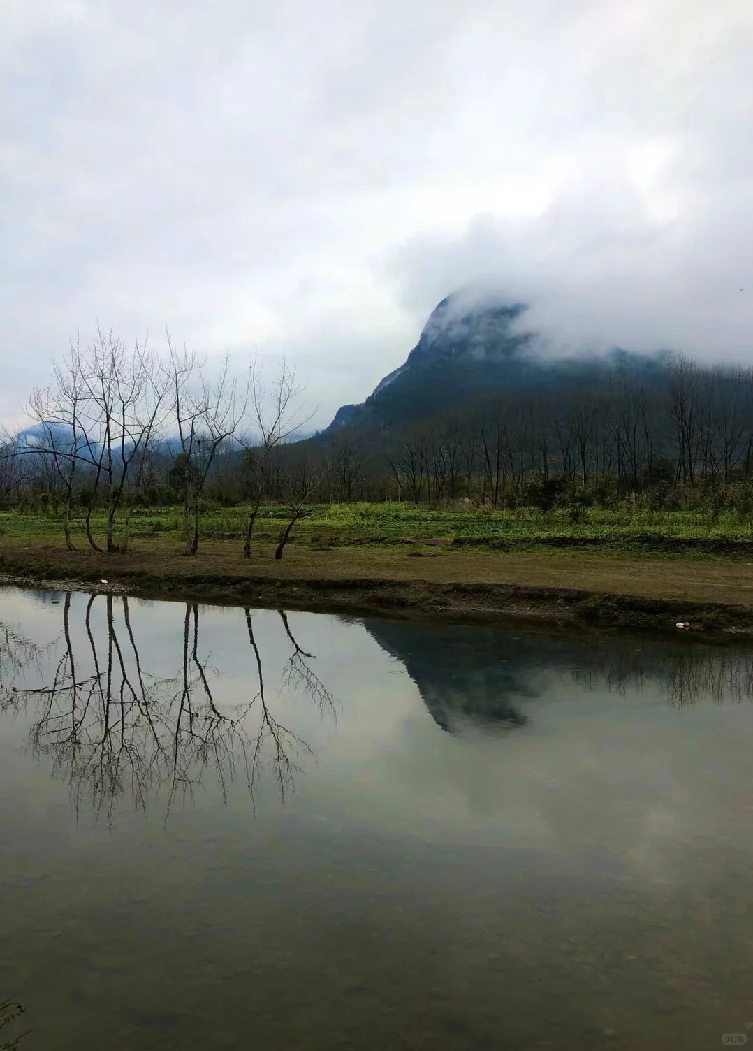 寻找新媒体搭子