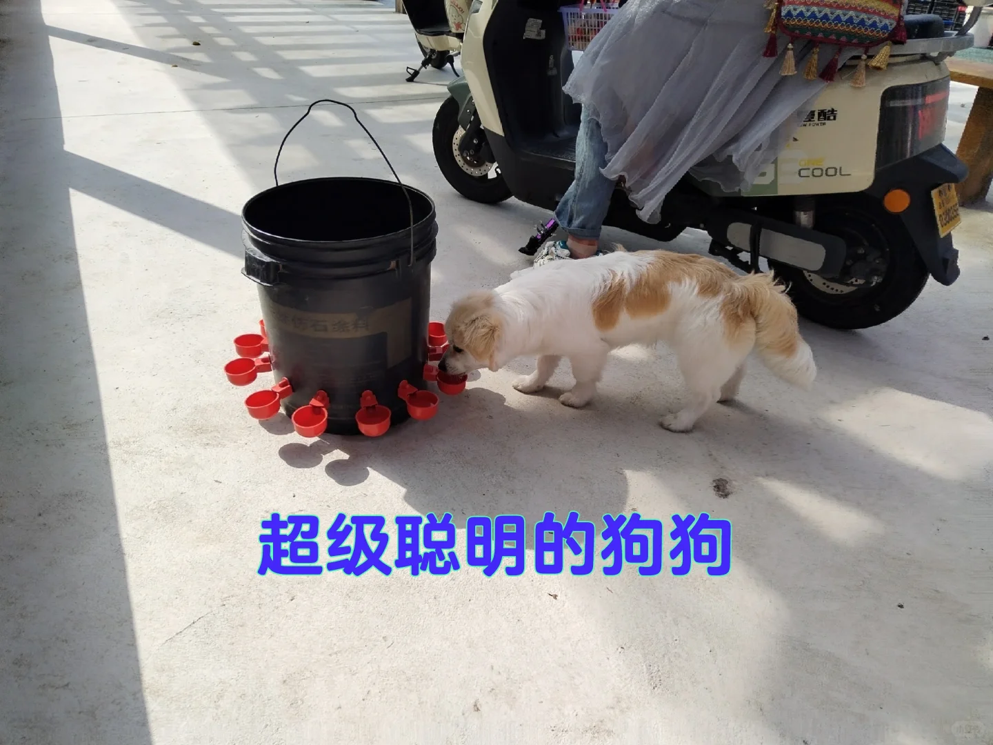 中年少女跨行农业种植基地工作第二十天