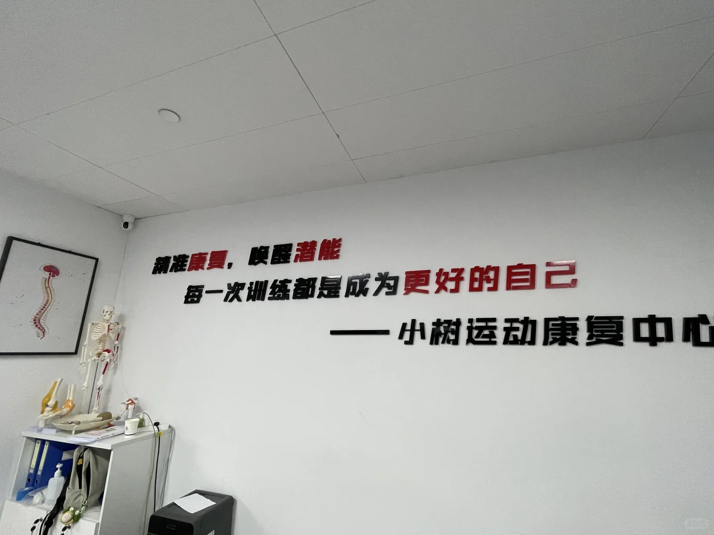 小树运动康复(郑州)