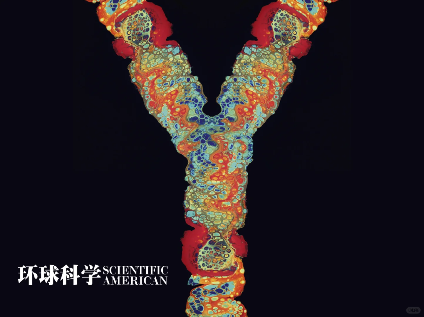 千万年后,人类的Y染色体会消失吗?