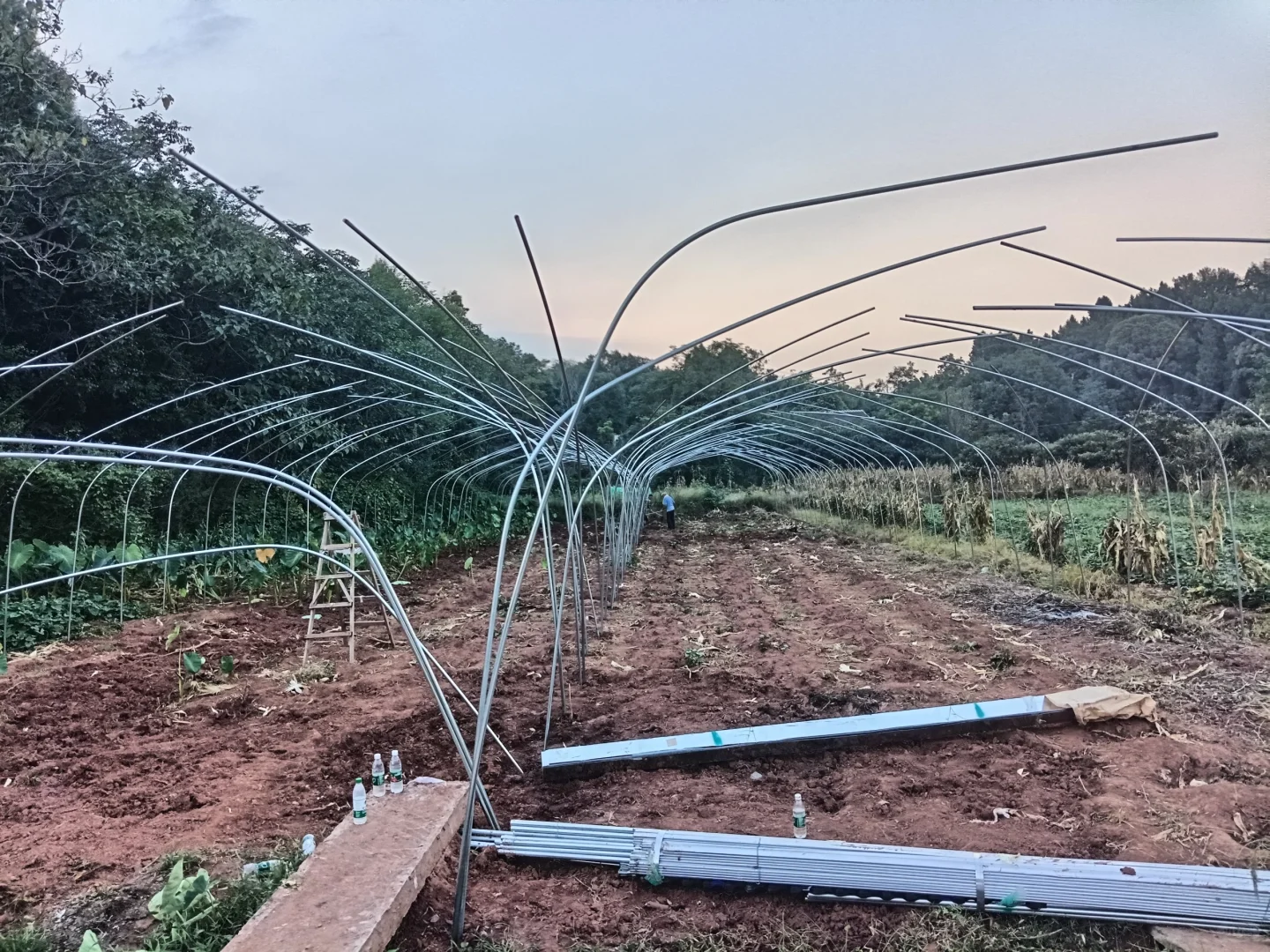 辞职回村创业建大棚，终于要搭建完成啦