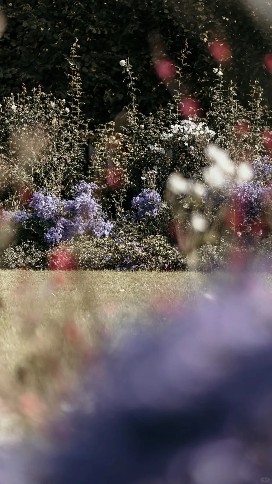 关于旅游副业成了主业?“再给旅行一次机会”