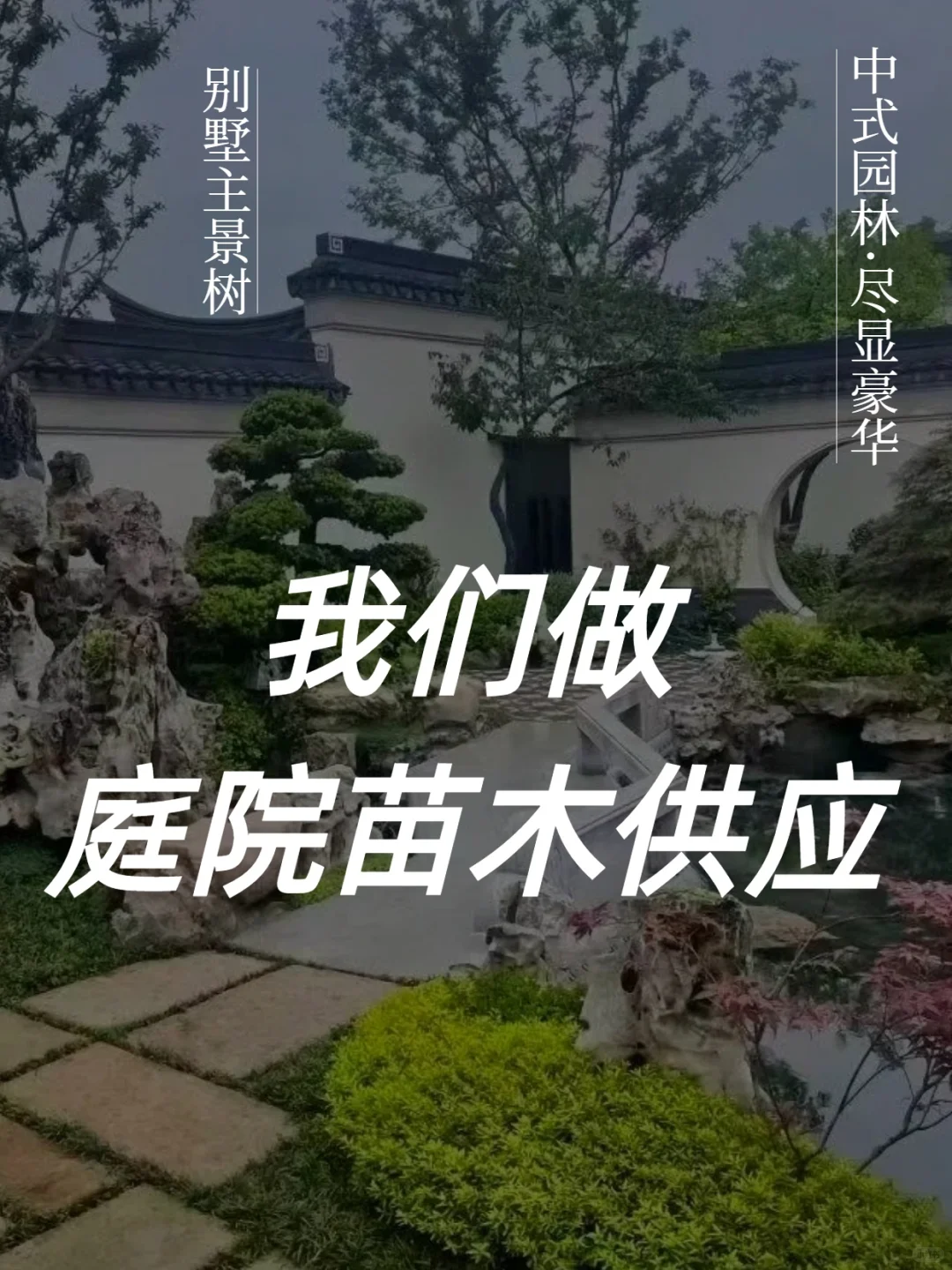 庭院苗木供应