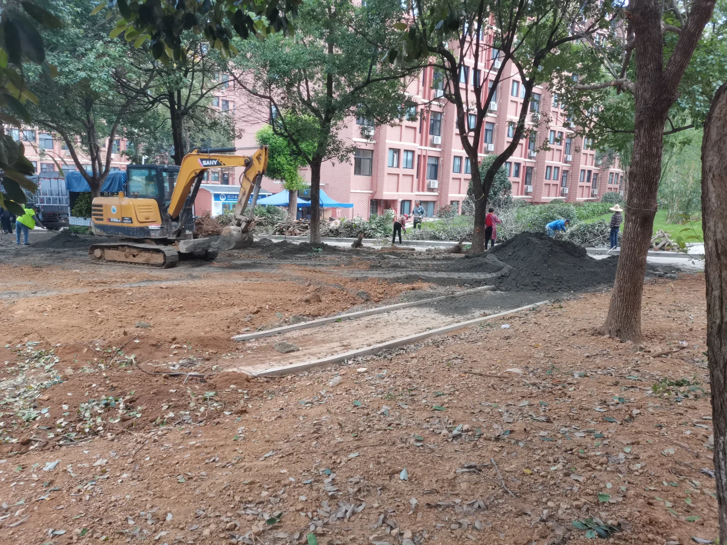 秋季是树木修剪施肥种植季节，来年长势更好