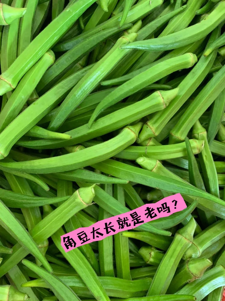 价钱不好我们还是坚持的种?‍?