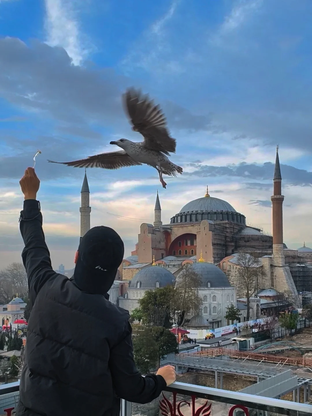 外派迪拜第 263 天