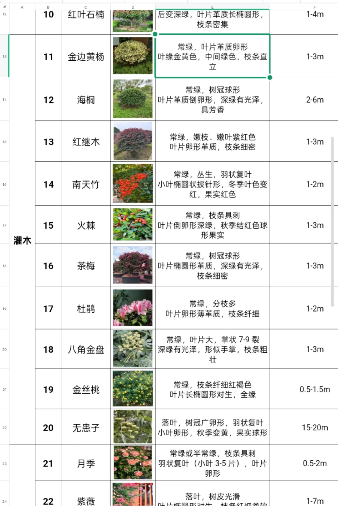 景观植物图鉴|乔木/灌木/水生/花卉分类表