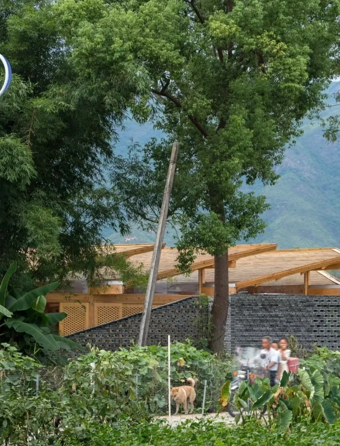 ? 乡村旅游新篇章：因地制宜，共赴美好