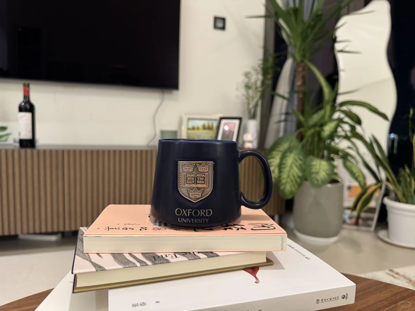 一个漂洋过海的学霸杯子??????