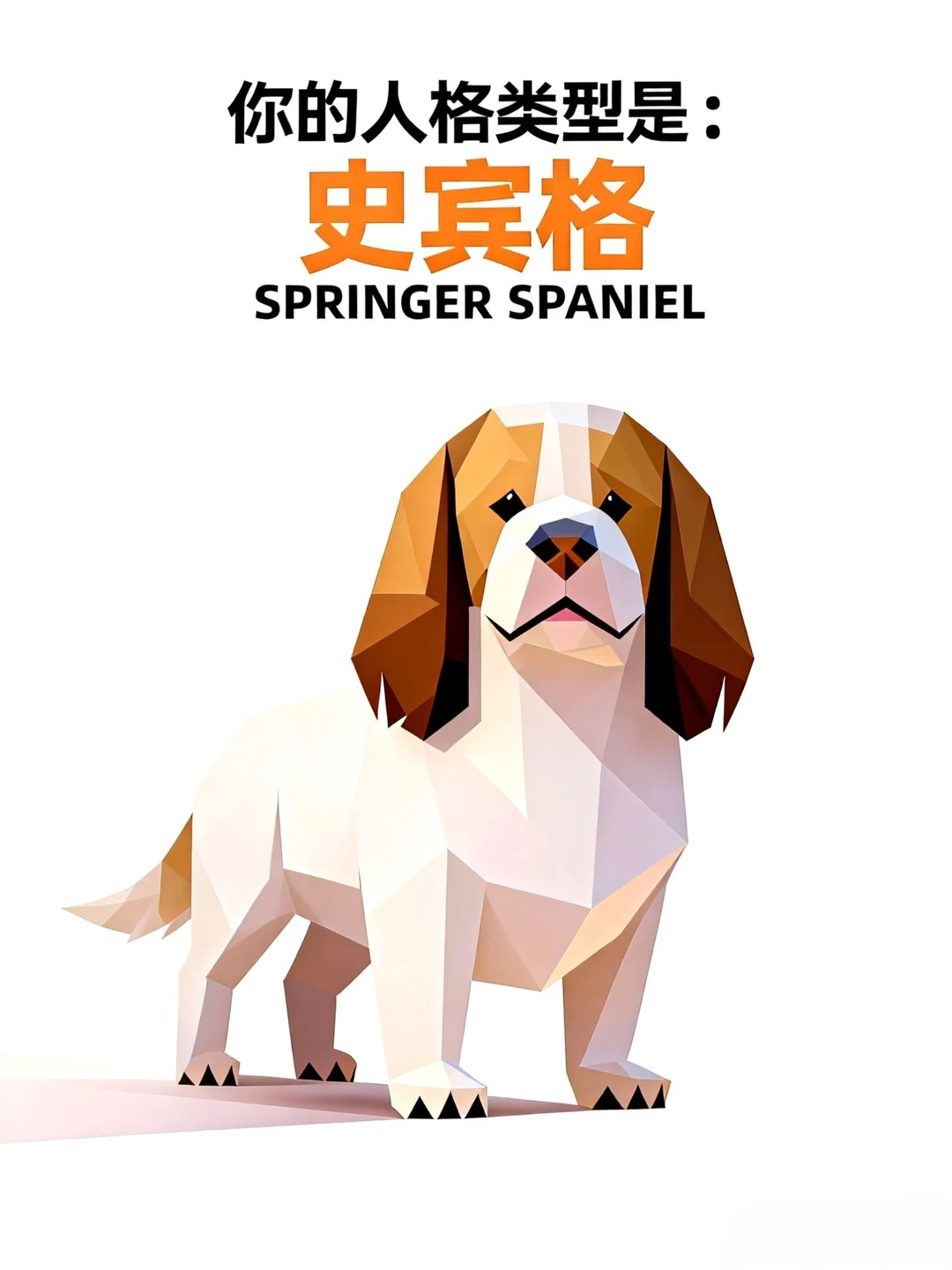 公务汪私下是黏人精——史宾格