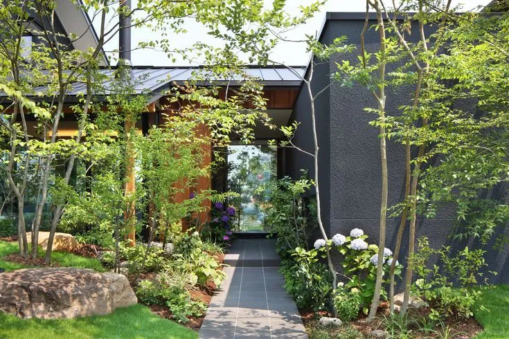 杂木庭院苗木选型纪要 | 柔美 飘逸 清雅