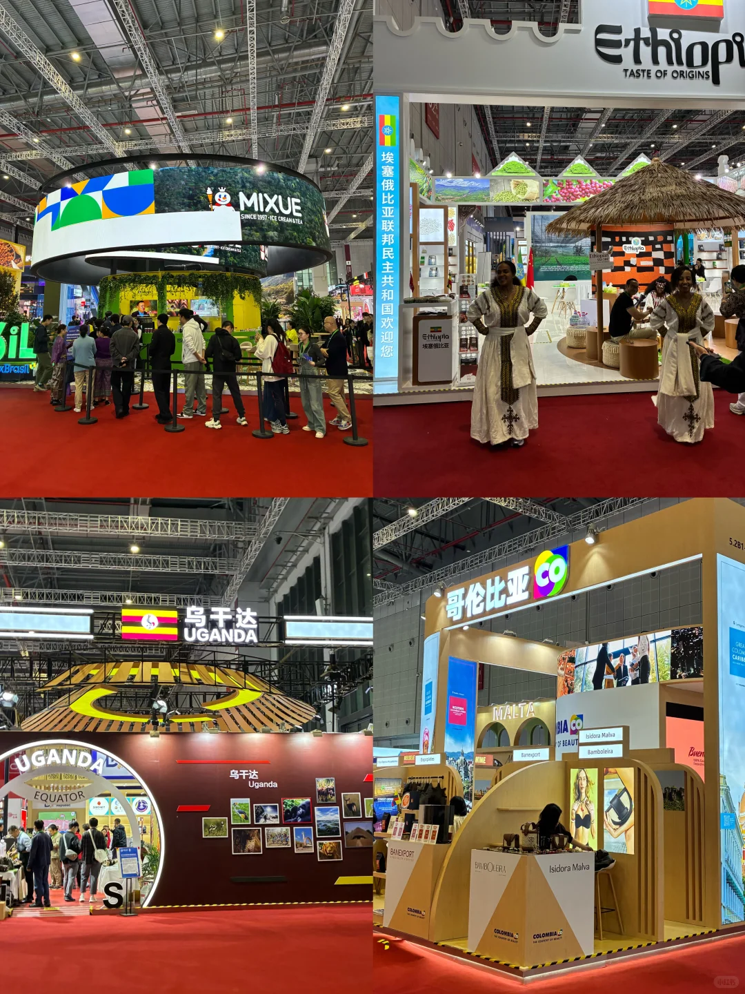 新人第一次参加进博会(疯狂薅羊毛?