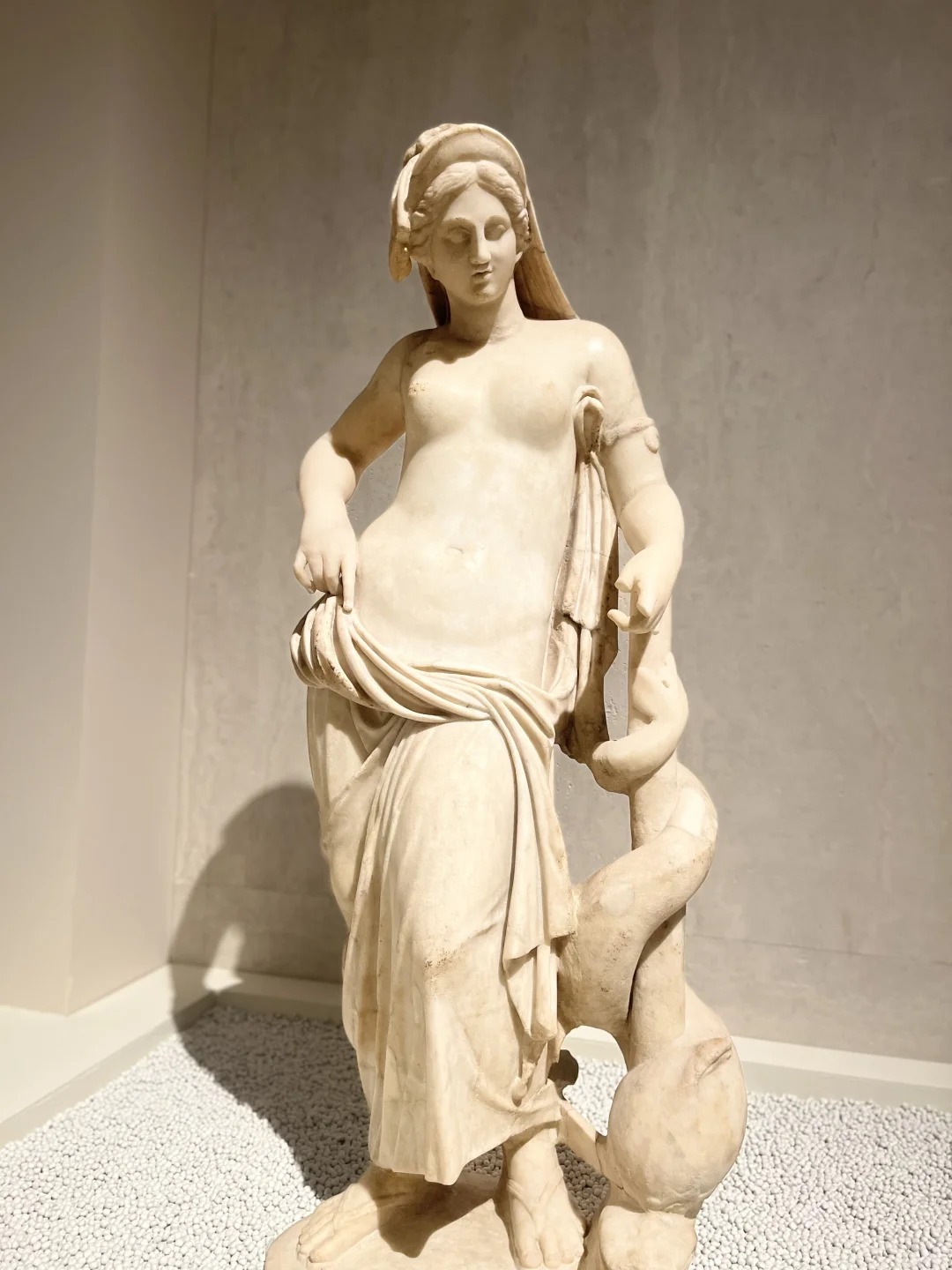 一场寻美的生日