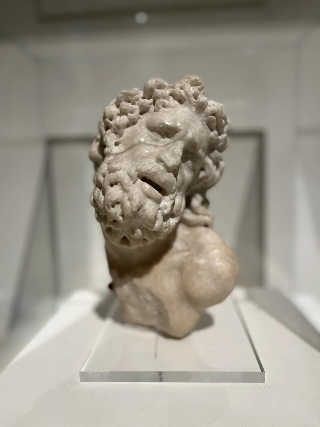 一场寻美的生日